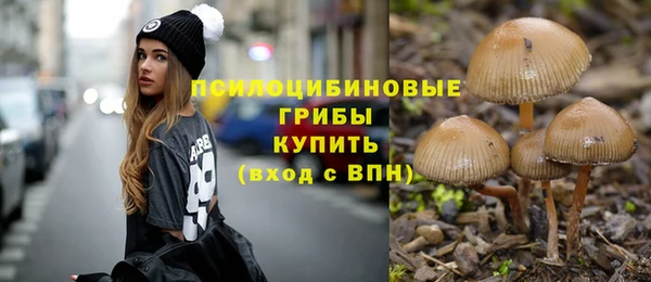 ECSTASY Кулебаки
