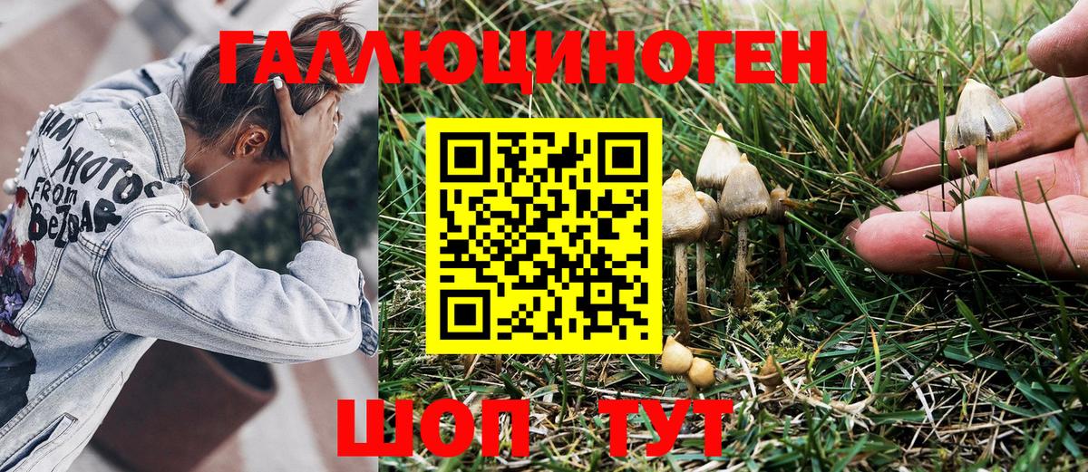 Стерлитамак  Галлюциногенные грибы Magic Shrooms  Вход с VPN 