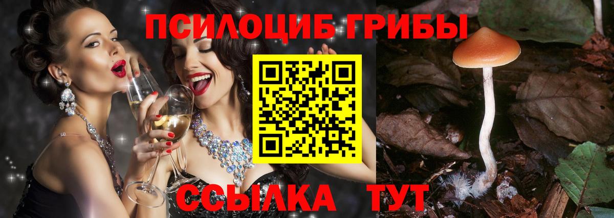 МЕФ Стерлитамак